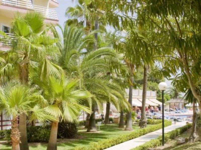 Globales 4* Palmanova