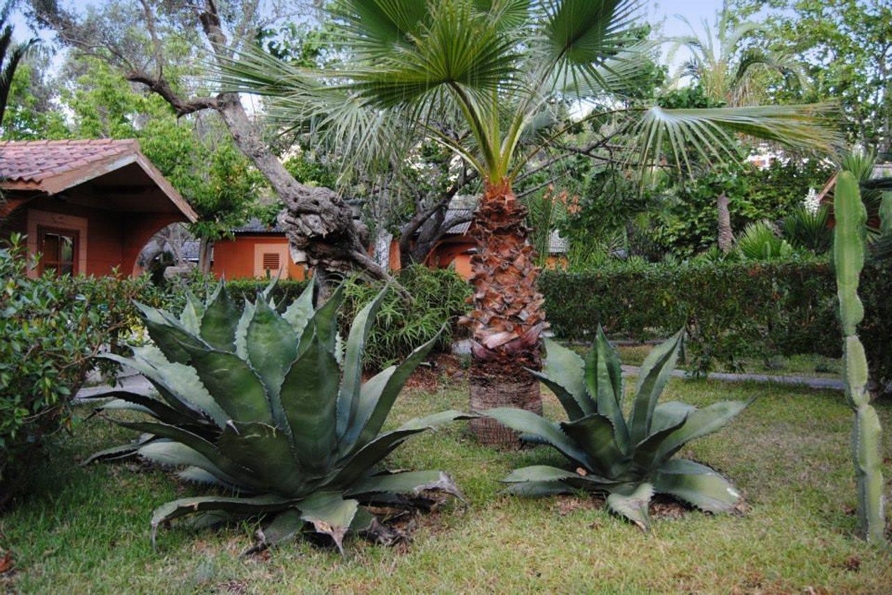 Soller Garden Hotel