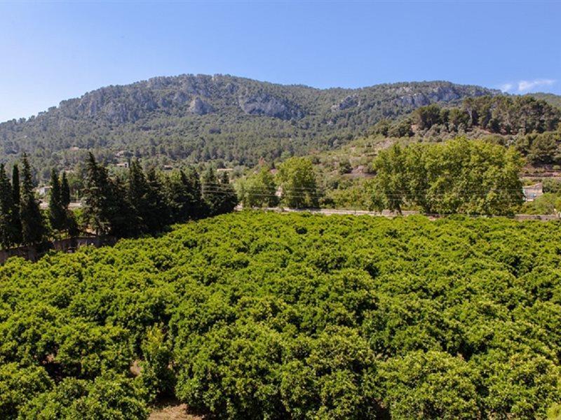 Son Galceran (adults Only) Farm stay Esporles