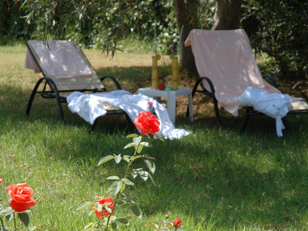 Gr Mayurca Hotel Canyamel (Mallorca)