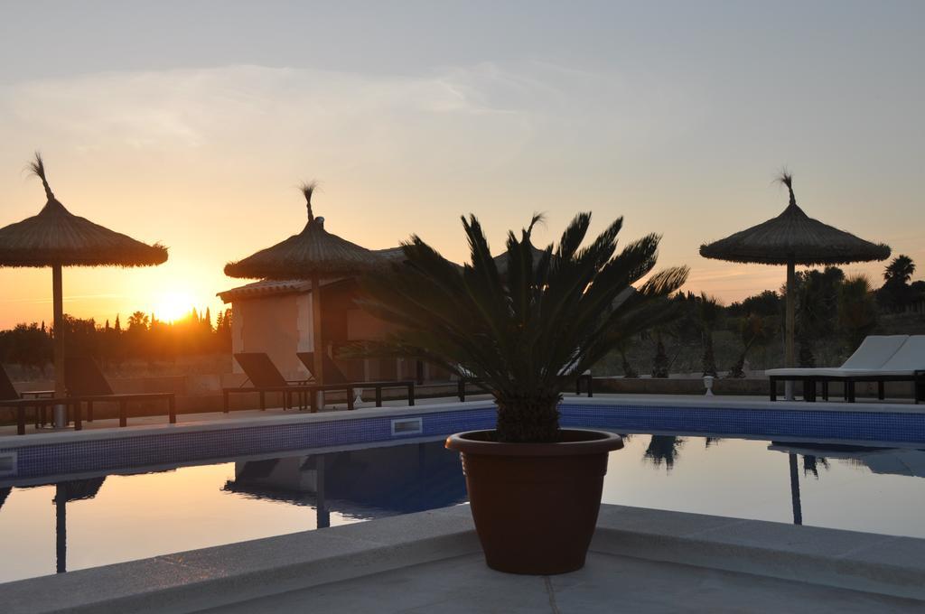 Hotel Alegria 4*