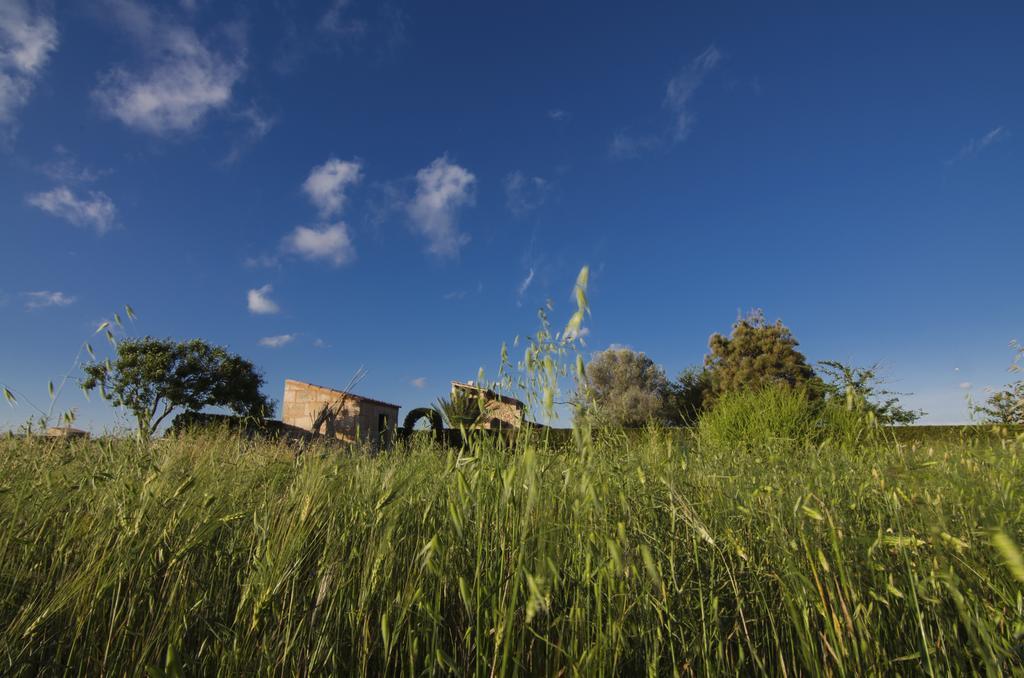 Son Coves Holiday Campos (Mallorca)