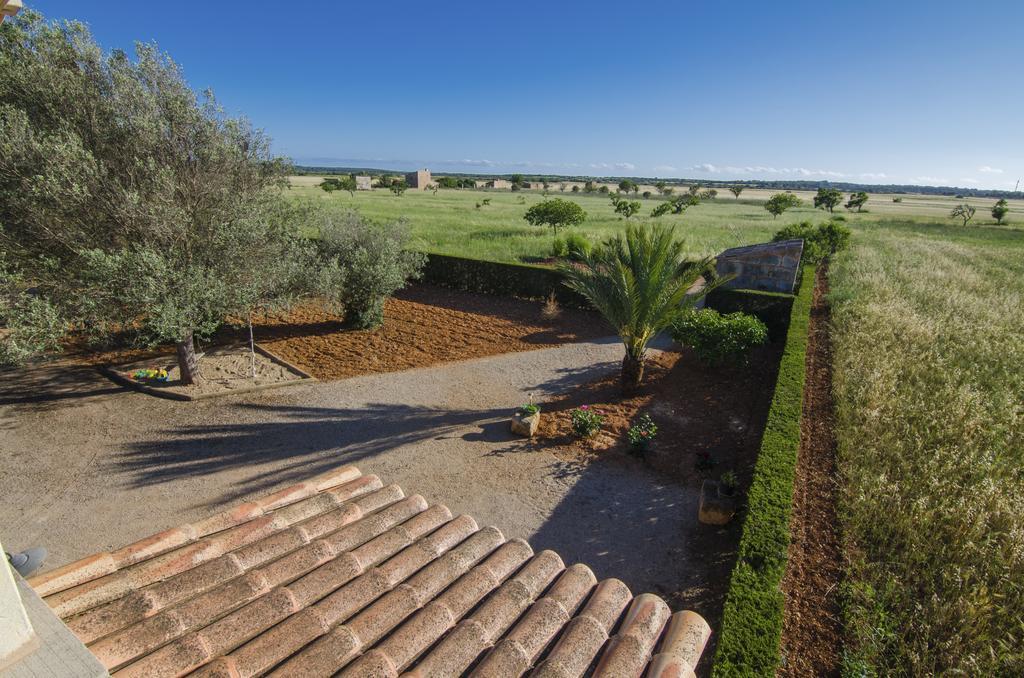 Son Coves Holiday Holiday home