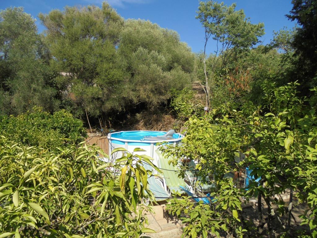 La Casita Сasa de vacaciones Manacor (Mallorca)