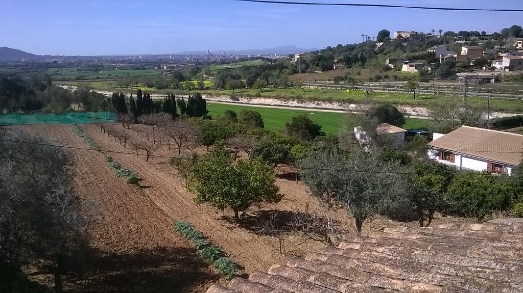 Сasa de vacaciones La Casita Manacor (Mallorca)