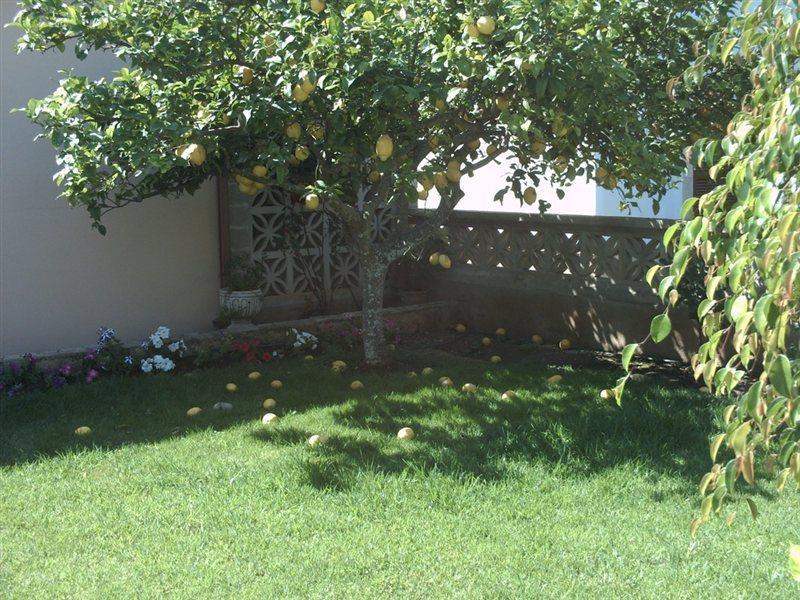 Jardin Del Oro Apartamento Cala Millor (Mallorca)