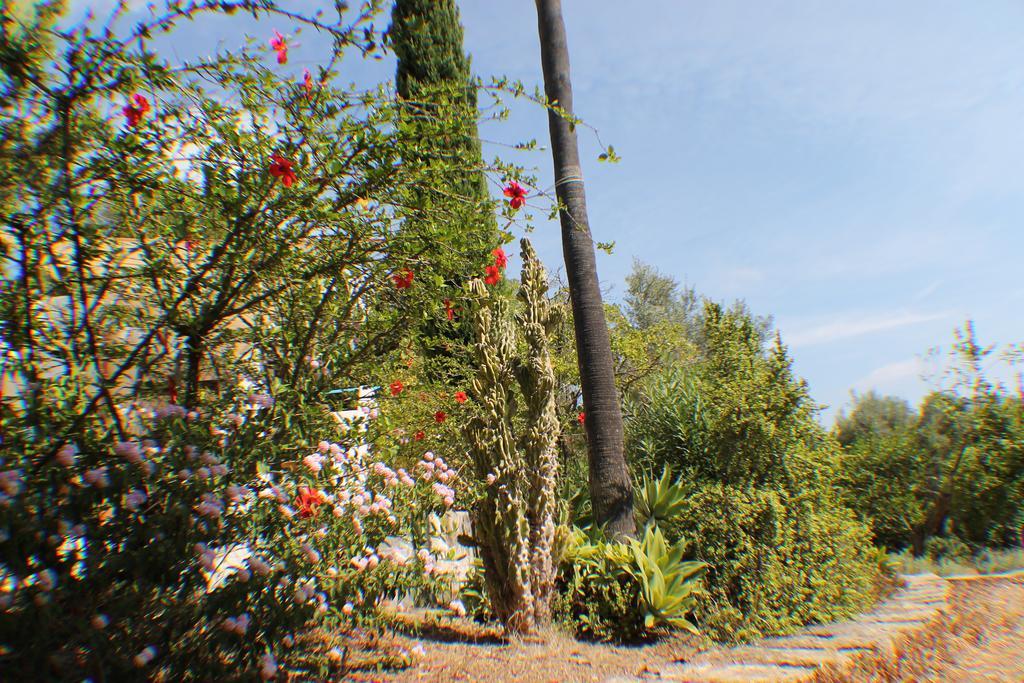 Bellet, Suspiros Ibicencos Villa