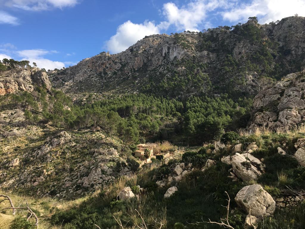 Pensión Ses Fontanelles Andratx (Andrach)