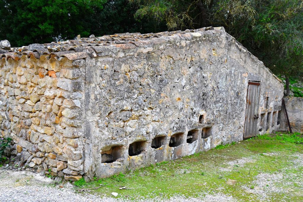 Son Sant Andreu Agroturismo