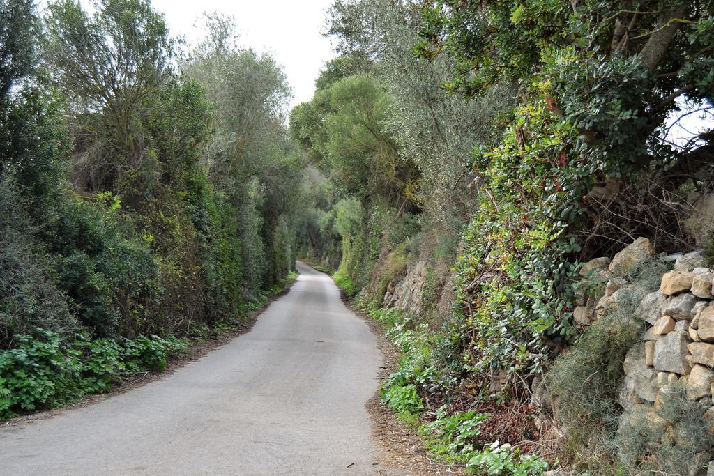 Agroturismo Son Sant Andreu *