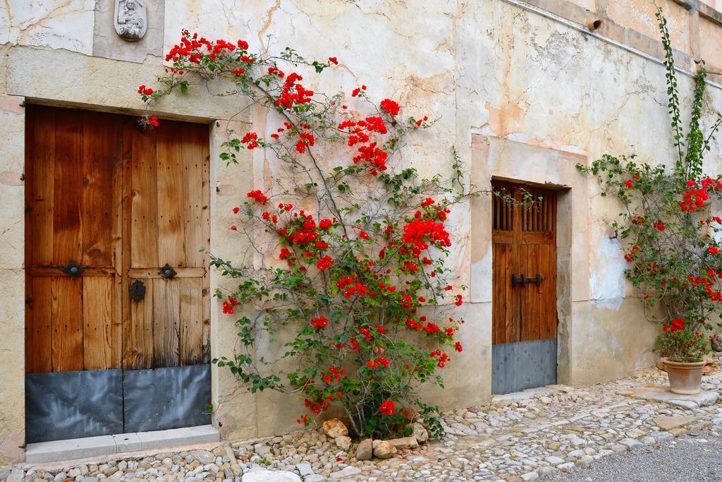 Agroturismo Son Sant Andreu Petra (Mallorca)