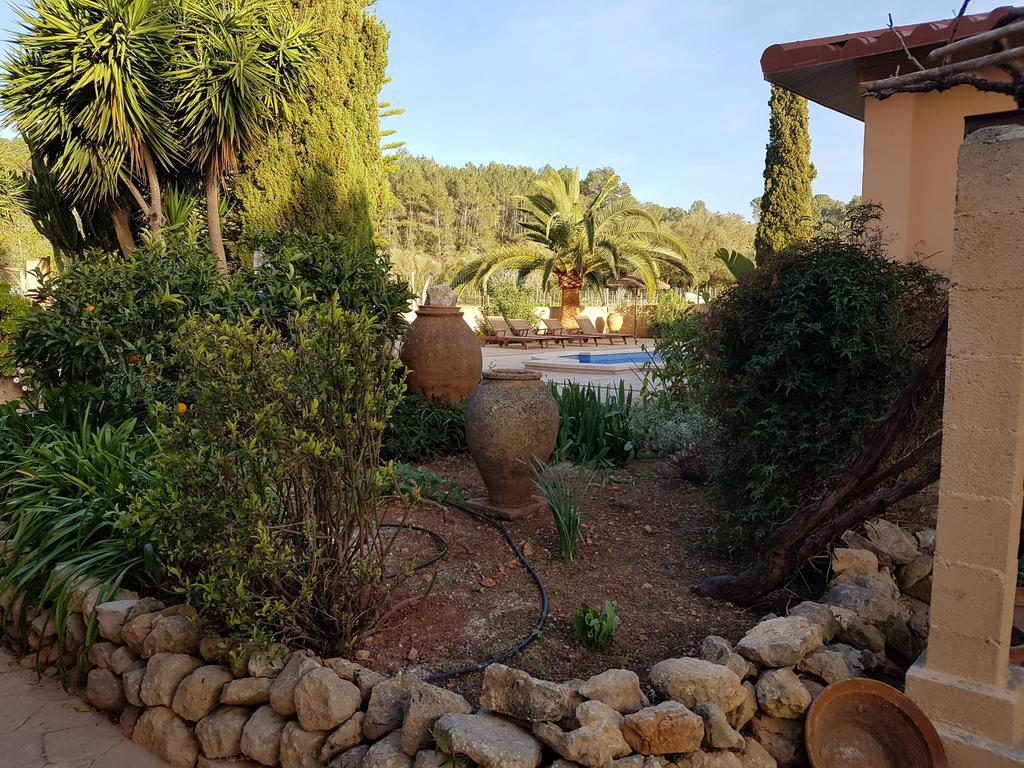 Pensión Finca Caballo Blanco *
