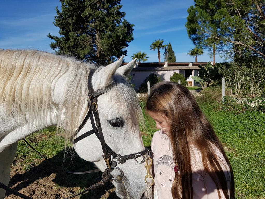 Pensión Finca Caballo Blanco *