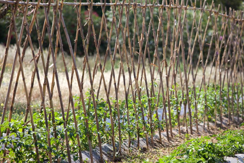 Sa Carrotja - Adults Only Las Salinas