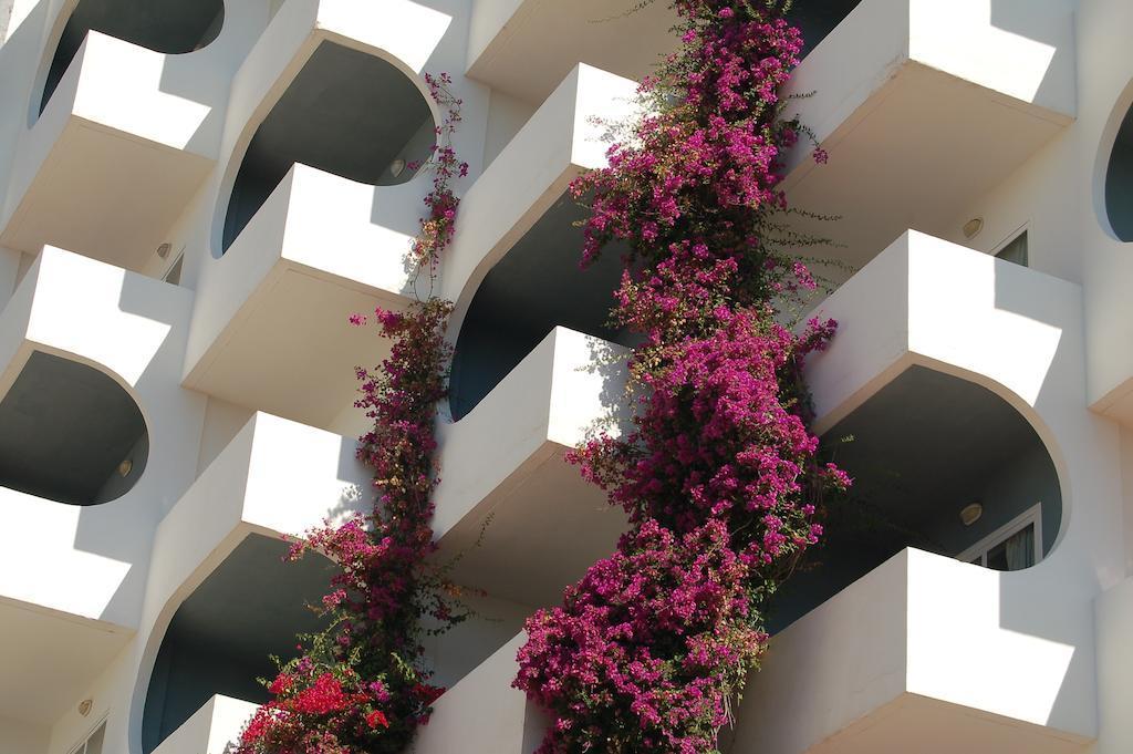 Bg Pamplona Hotel 4*