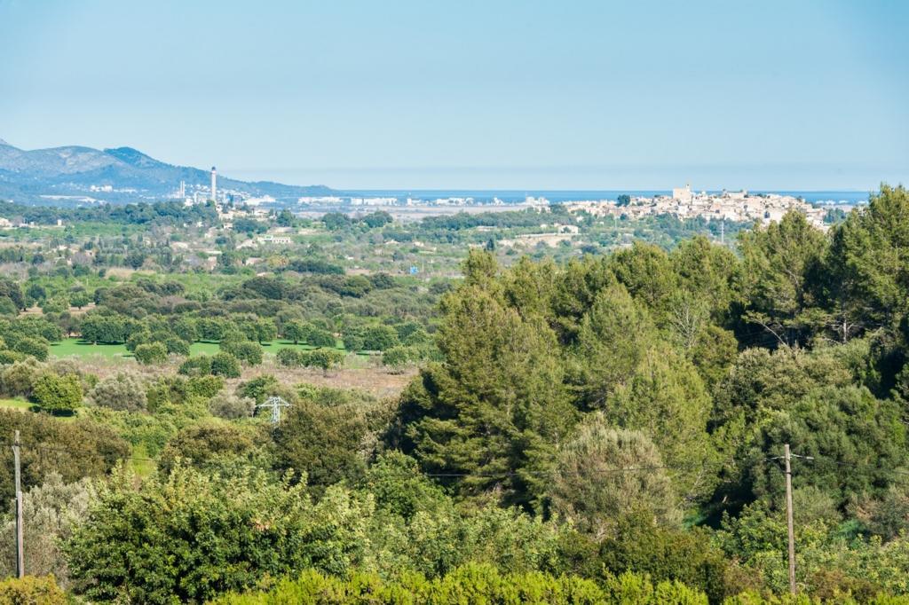 Sa Vinyota De Piti * Selva (Mallorca)