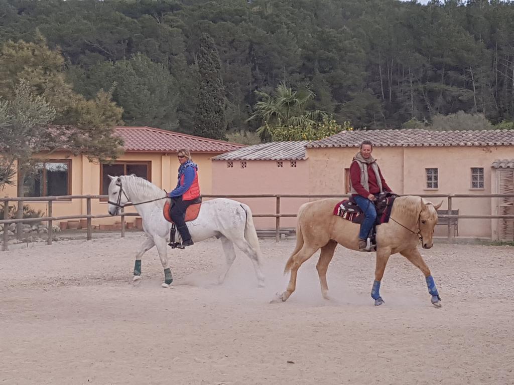 Finca Caballo Blanco Pensión *