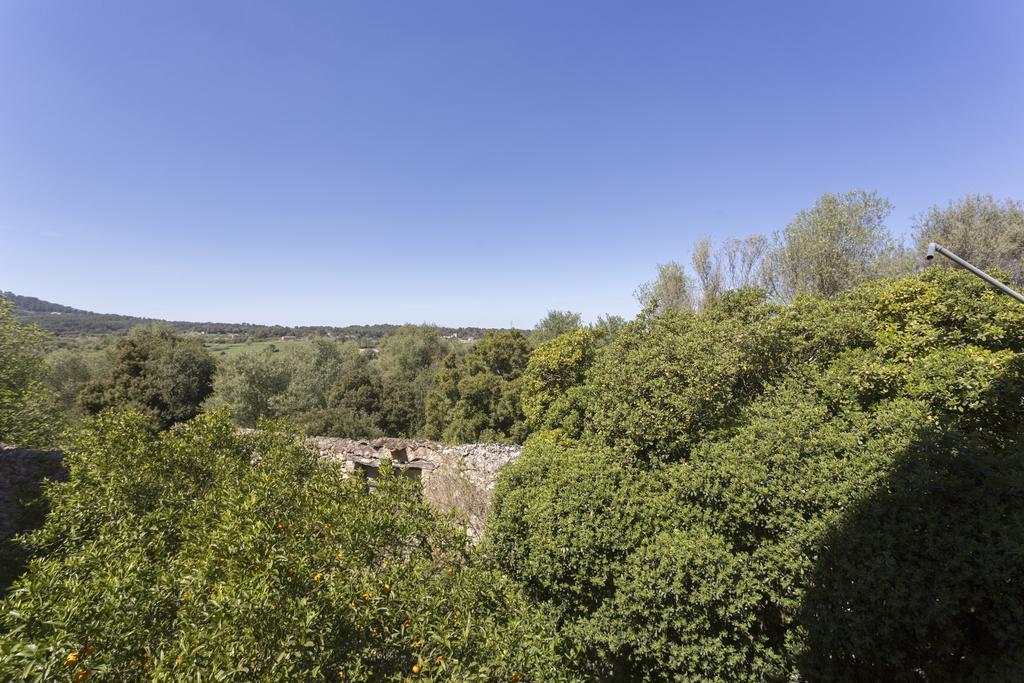 Son Sant Andreu Agroturismo *