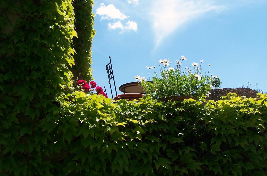 Honor Vell Hotel Bunyola