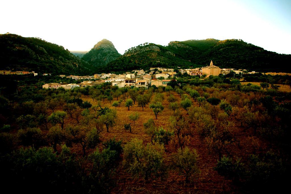 Villa Sa Casa De Ses Bicicletes Caimari