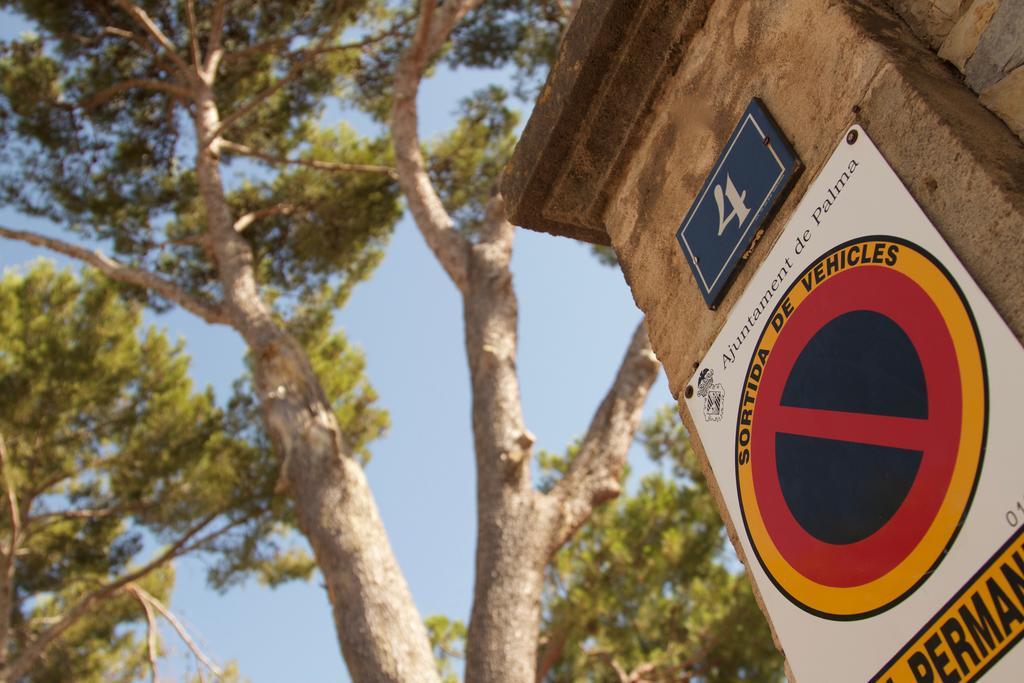 Els Pins * Palma de Mallorca