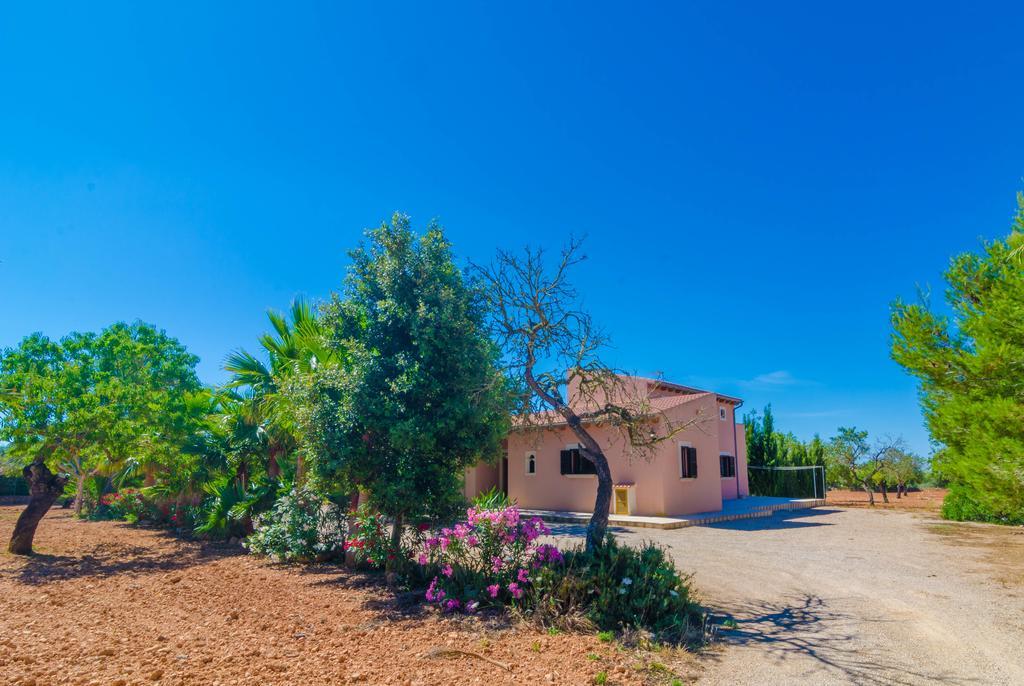 Rustica Arcos * Campos (Mallorca)