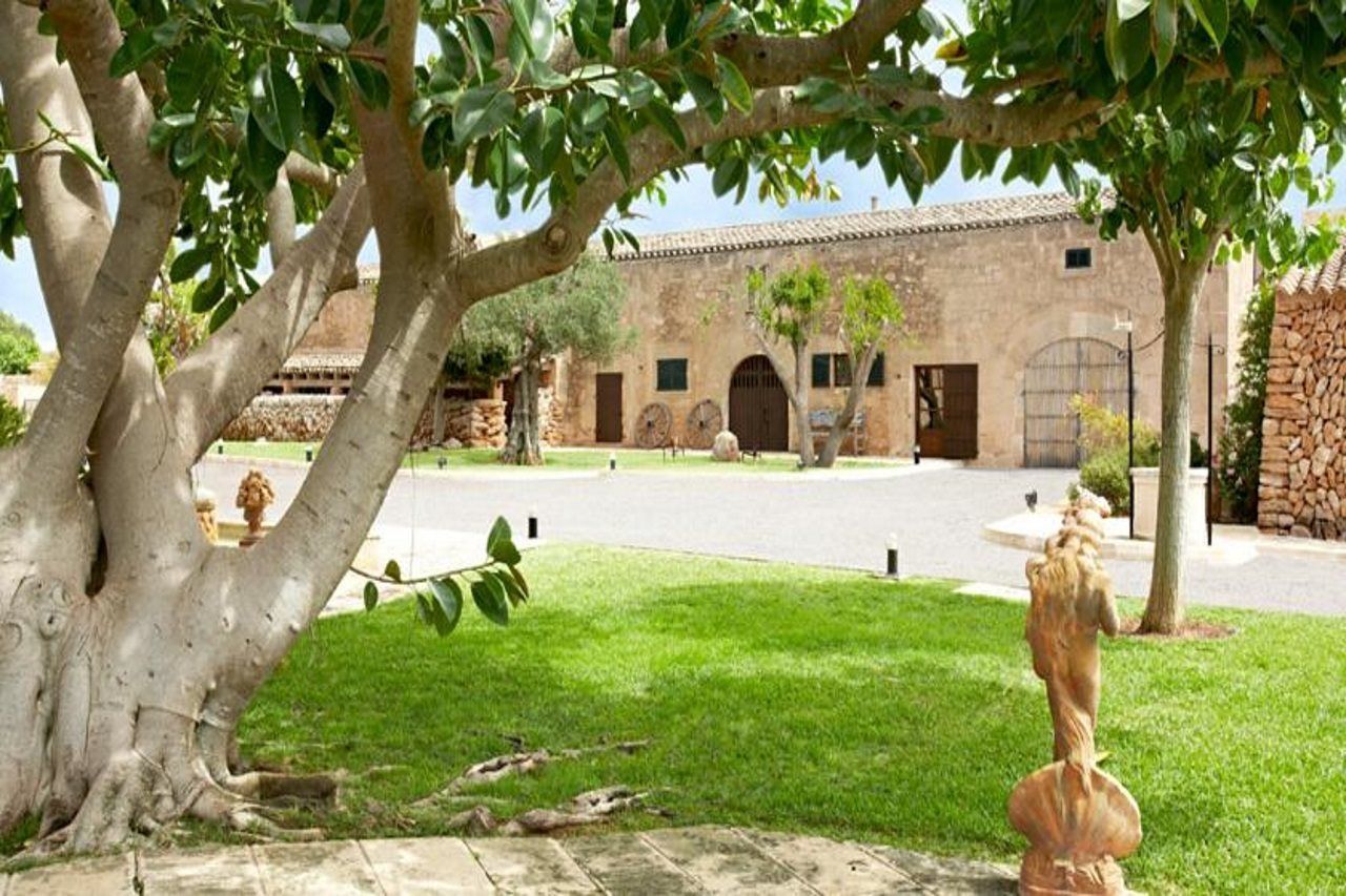 Puig De Ros D’alt * Llucmajor (Mallorca)