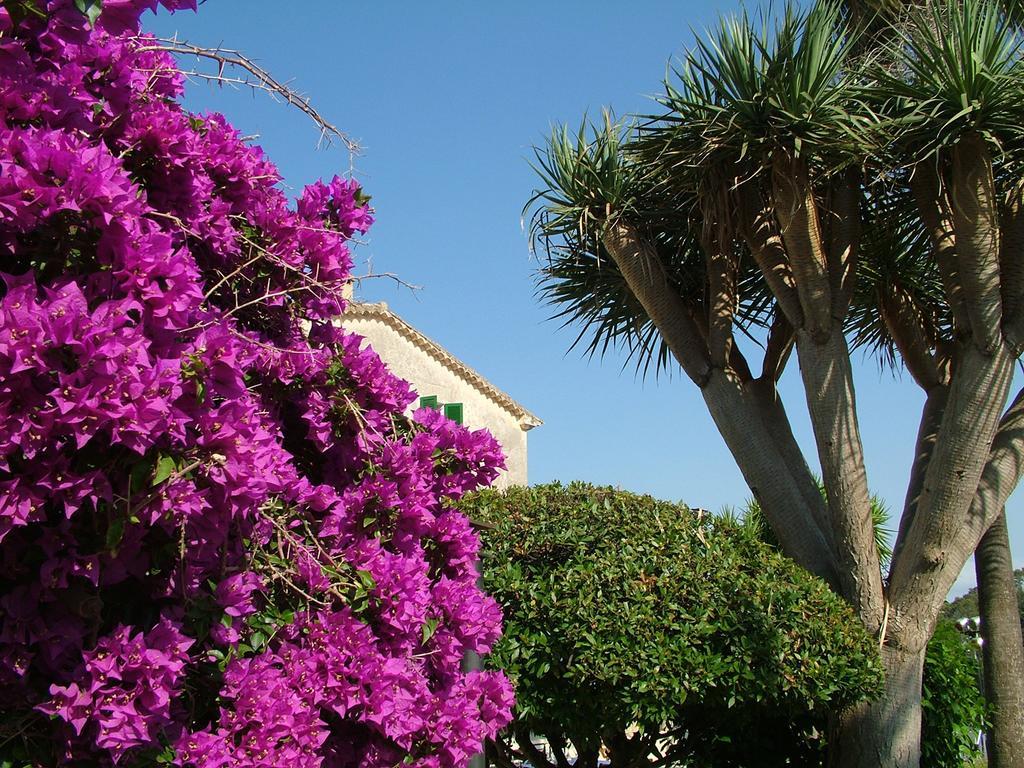 Monnaber Vell Hotel Campanet