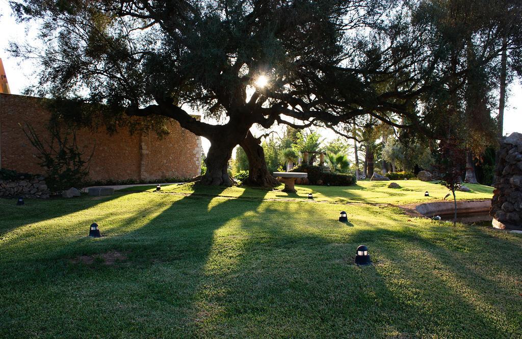 Sa Rural&spa 4* Consell