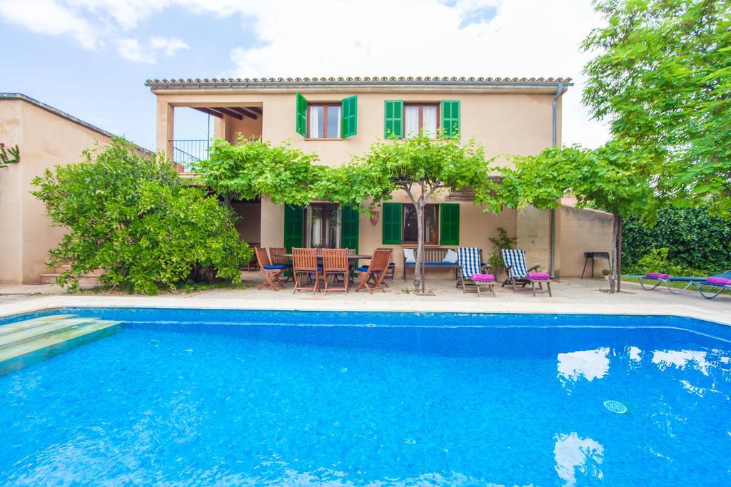 Casta * Petra (Mallorca)