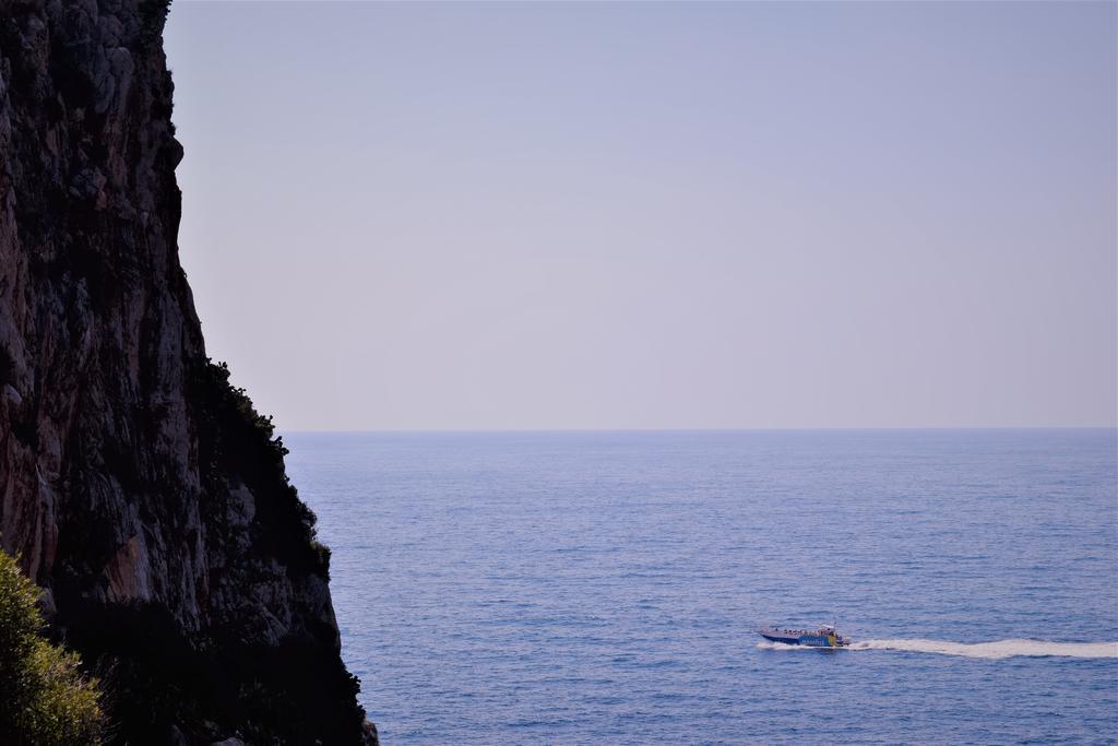 Sureda Canyamel (Mallorca)