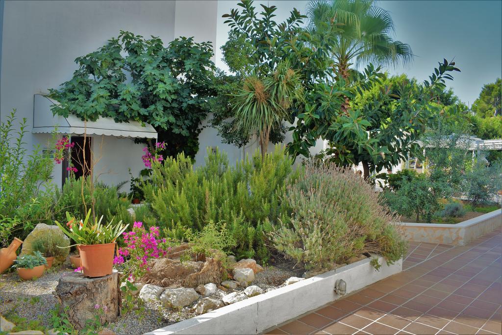 Sureda Apartamento *