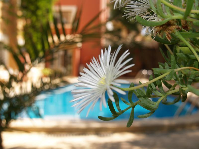 Sa Coma Hotel 3*