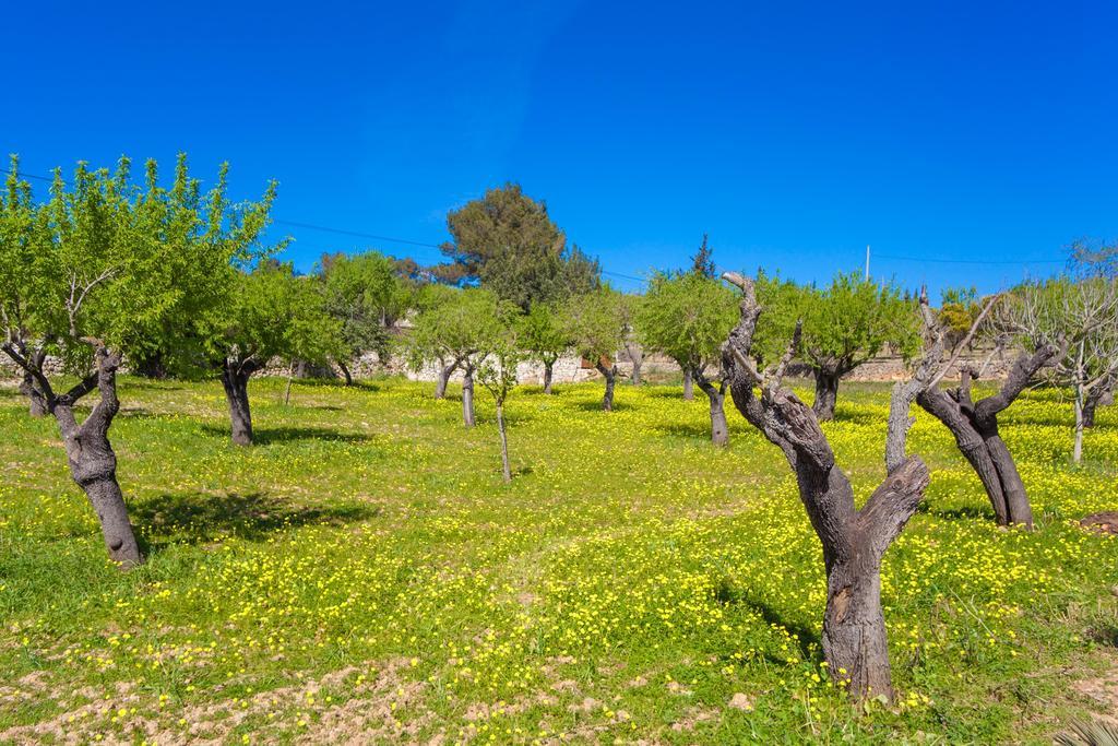 Villa Cas Rossinyol