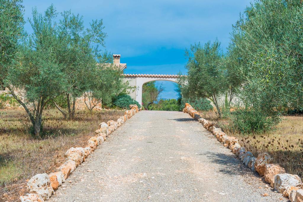 Villa Pina - Adults Only (eco Cascada)