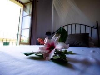 Casa Bougainvillea Hotel 3*