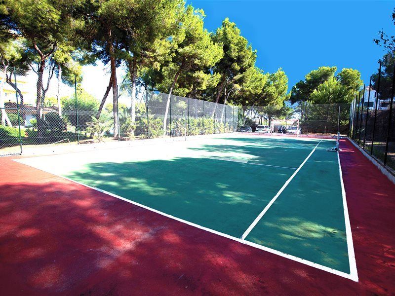 Hotel Alua Calvia Dreams 4*