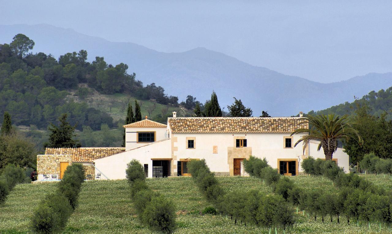 Gossalba Sant Joan