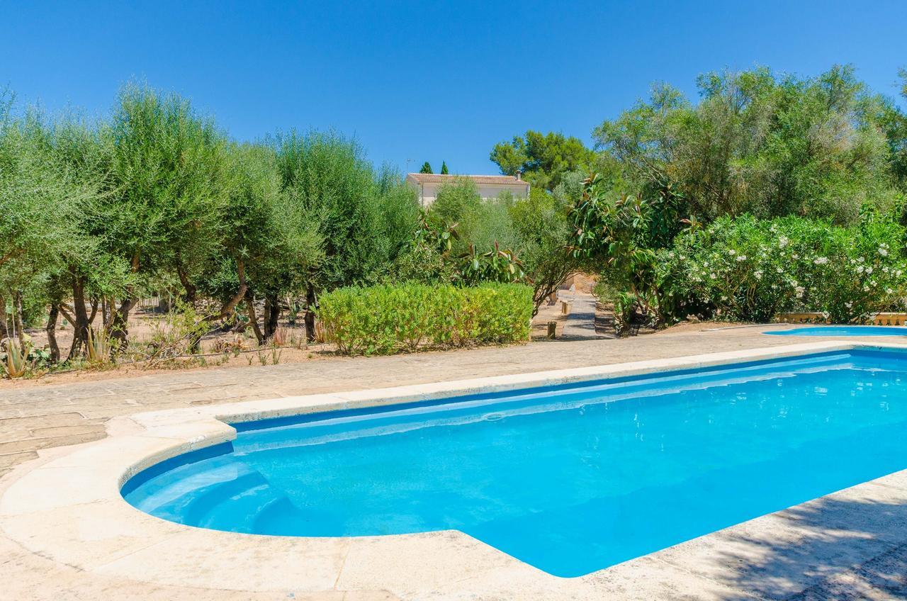 Apartment Son Sureda *