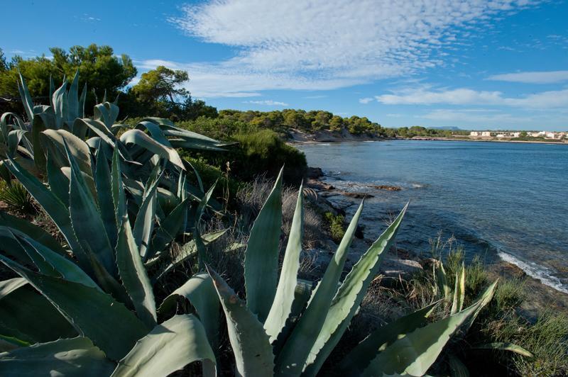 Apartamento Casitas De Pescadores *