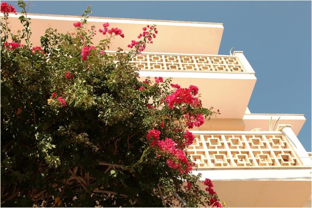 Casa De La Vida *