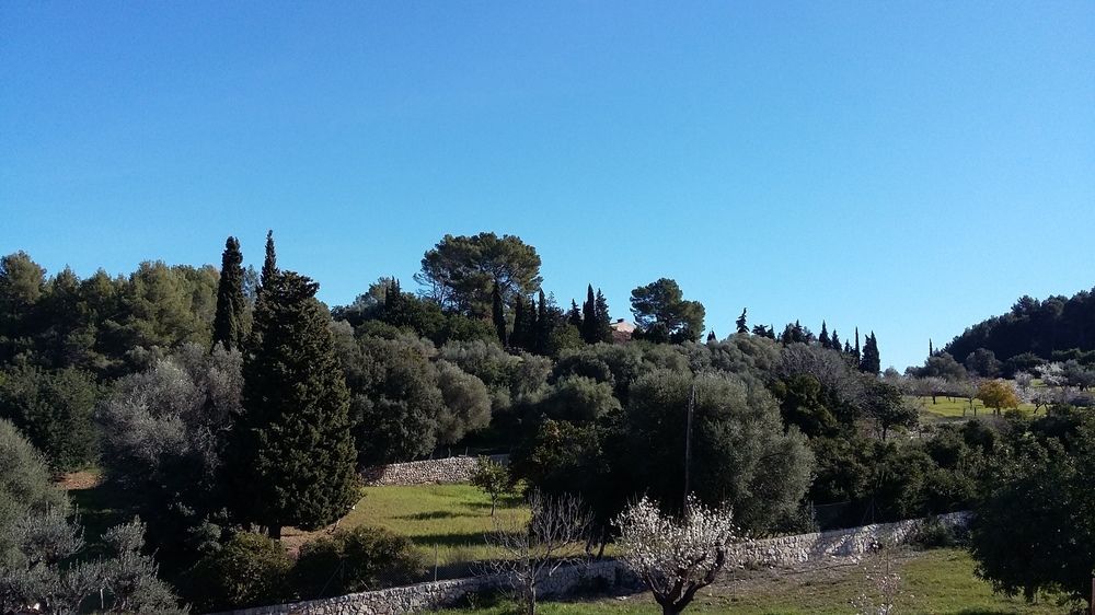 Son Ametler Hotel 4*