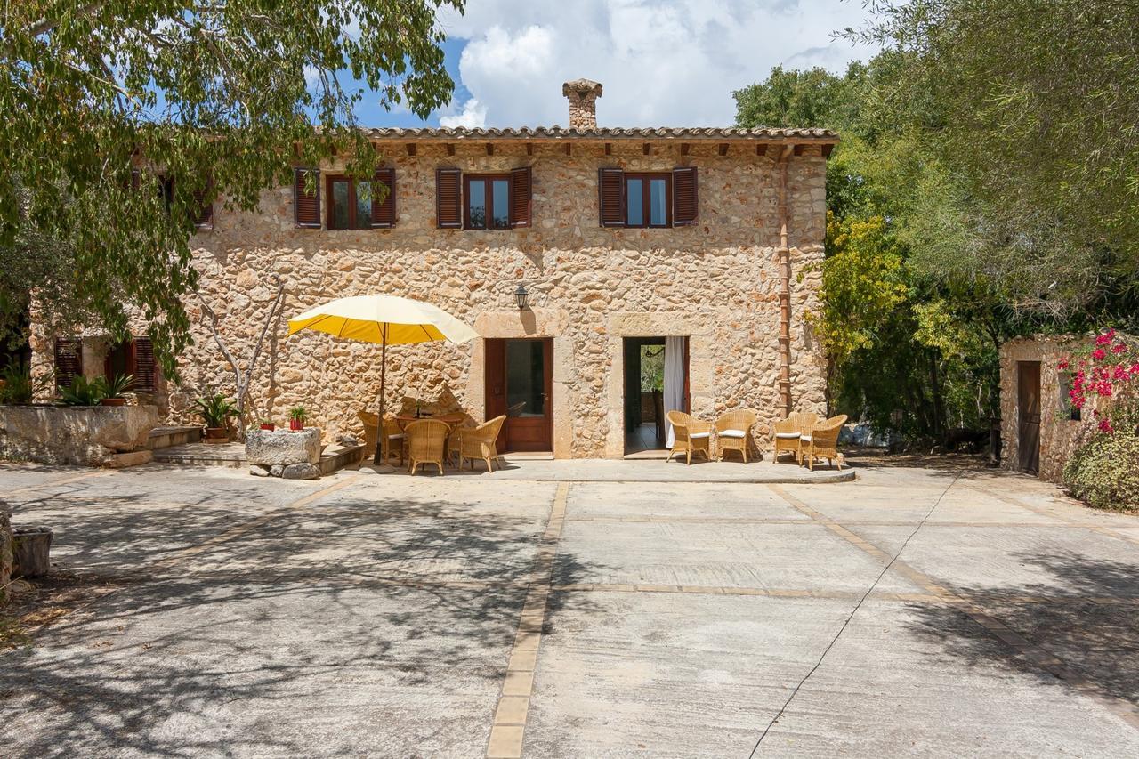 Gallet Costitx (Mallorca)