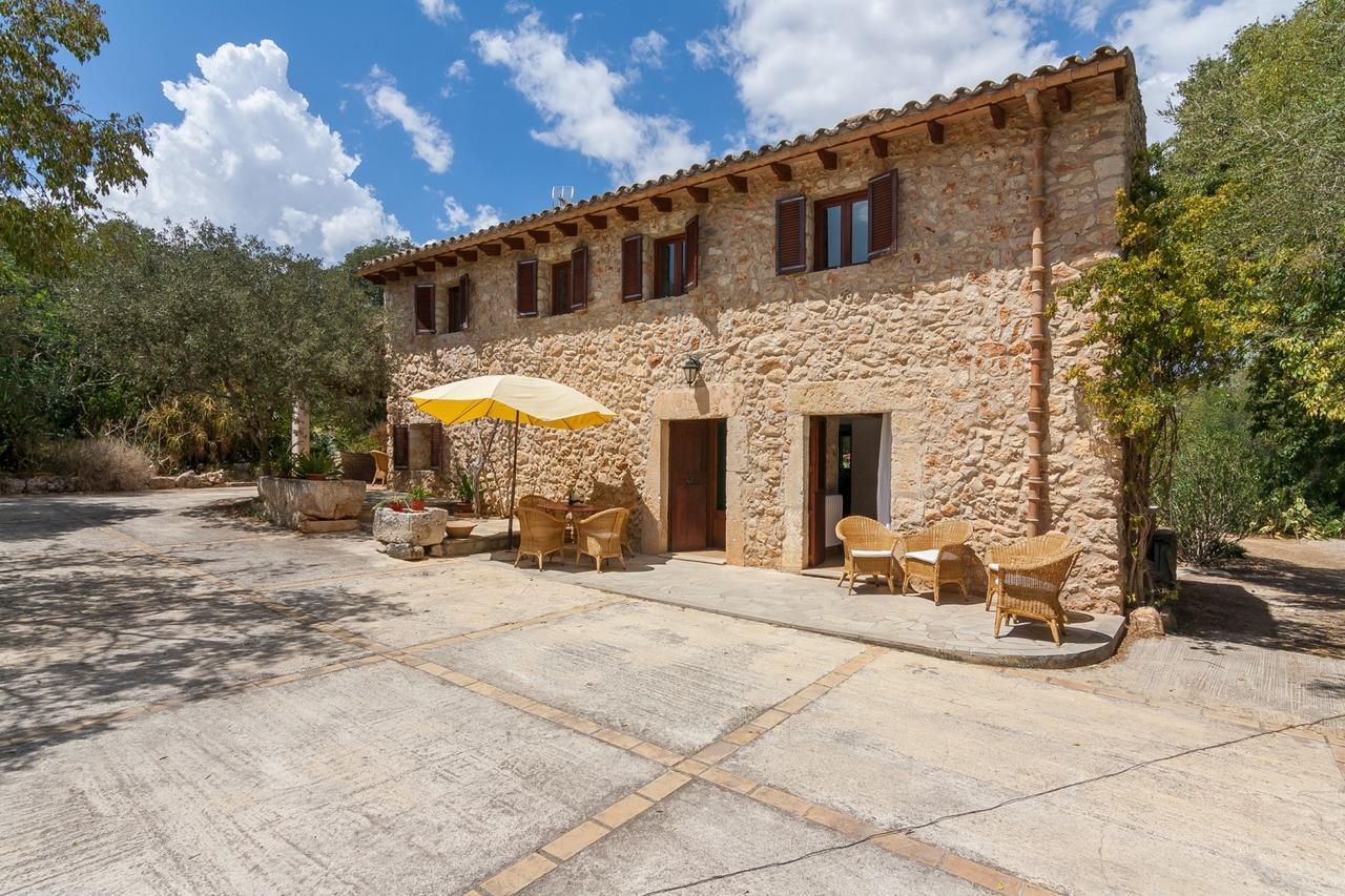 Gallet Costitx (Mallorca)