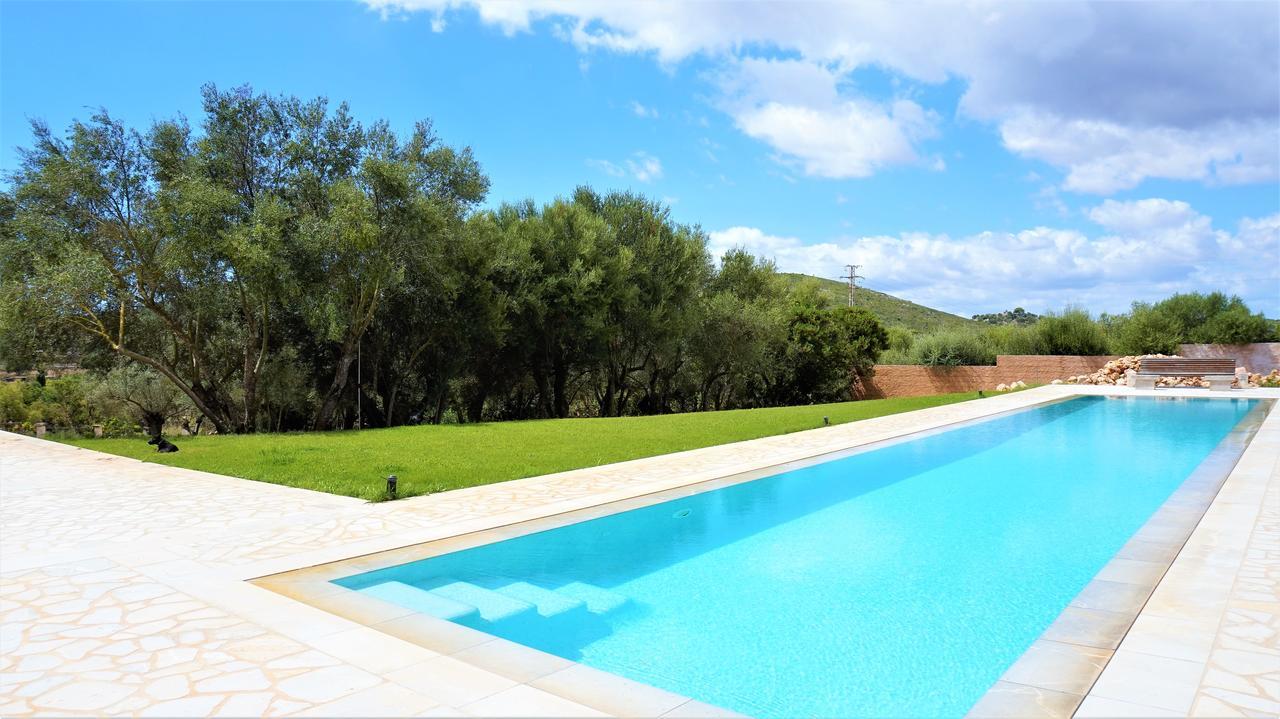 Apartment Son Violi
