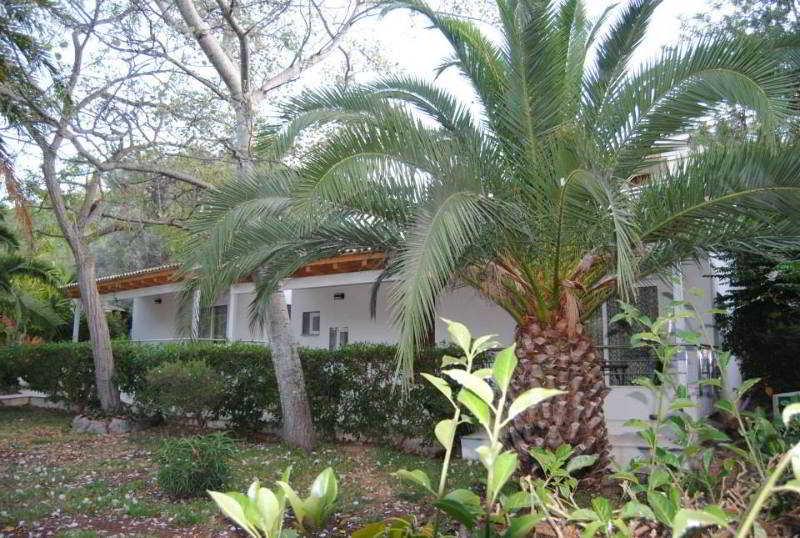 Soller Garden