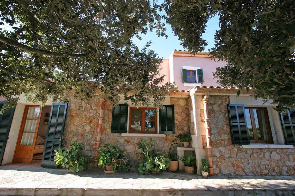 Alzina * Alcúdia