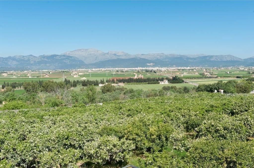 Holiday home Taronger