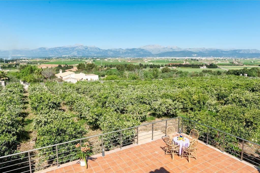 Taronger Holiday home *