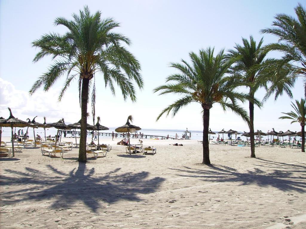 Ses Dalies * Puerto de Alcúdia